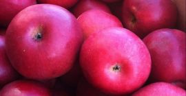 Carefully selected and collected Apples from Turkey s Apple