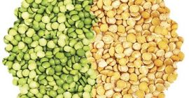 Green / yellow peas Halves and broken – max