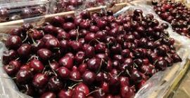 Големите череши се продават в кутии по 2 кг