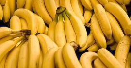 Product name Fresh Cavendish Banana Big Size From Turkey