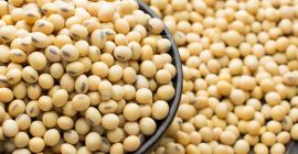 Comercializăm ouă de alimente proaspete de diferite dimensiuni; Ouă