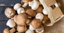 Hochwertiger gefrorener und weißer gefrorener Pilz Produktname: Frischer und