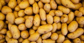 Patate varietà Ovation, grandi, molto gustose. Possono essere imballati