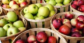 I will sell apples, truckloads