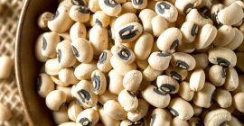 Legjobb minőségű fehér tehénborsó Vigna bab / fekete szem