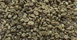 Best Selling Freshly Roasted Coffee Beans Dormans Continental for