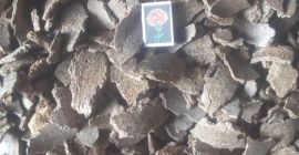 Dear Sir or Madam! We currently sell high-protein linseed