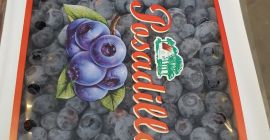 Hello. I represent an orchard farm located in the