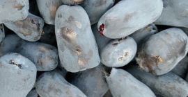 Acquista un cappello hashish certificato ecologico!