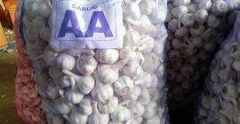 Мы являемся индийским экспортером, который может поставлять чеснок диаметром