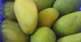 Komatha Fresh, di Amsterdam / Paesi Bassi, è già