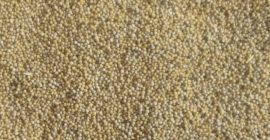 I will sell 3.5 tons of white mustard. For