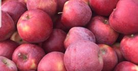 More info priv 607316453