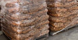 for sale potatoes, vineta variety, 15 kg bag, on