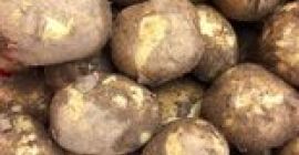 I am selling new potatoes, originating from Dabuleni, Dolj