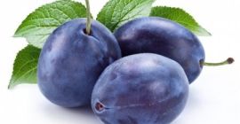 prugna cicarscaia rania 21iulie prugna stelnei 12agosto