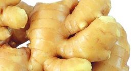 Product Fresh Young and Old Ginger (New 2020 and