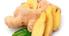 Product Fresh Young and Old Ginger (New 2020 and