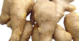 Product Fresh Young and Old Ginger (New 2020 and