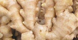 Product Fresh Young and Old Ginger (New 2020 and