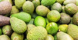 Avodako Hass HS COD: 8044000 Dimensiune: 12,14,16,18,20 Ambalat: 4