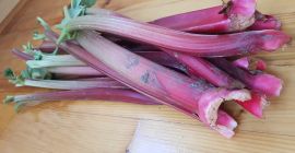 Mint and Rhubarb