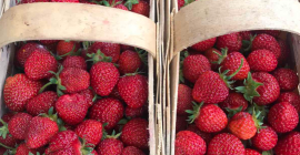 Noul sezon din 2021 - continuăm tradițiile bune Nu