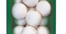 Ökologische weiße /braune Champignons Alle Größen, alle Verpackungen