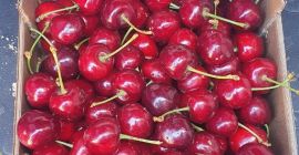 череши Alcala la real