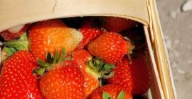 Vând în fiecare zi căpșuni proaspete de diverse soiuri,