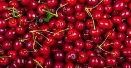 Fresh Cherry – Dunkelrote Farbe, saftig, süß. Sortieren –