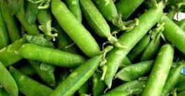 Ökológiai, minőségi zöldborsót árulok. Helyszín: Slobozia, Arges megye