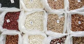 The Bins Naturproduct company offers for sale beans of