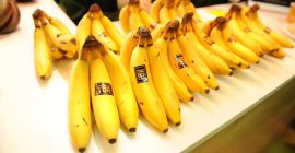 Fresh Bananas from Egypt packed into 20Kg box We