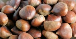 Nagykereskedelmi beszállítók vagyunk a mellkas dióból, és cégünk kiemelkedő