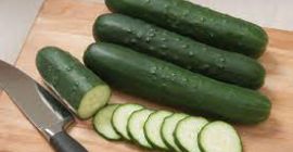 Wir sind Großhändler für frisches Gemüse und Karotten und