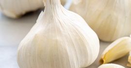 Мы являемся оптовыми поставщиками свежих овощей и чеснока, и