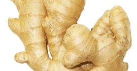 Wir sind Großhandelslieferant für frisches Gemüse und Ingwer und