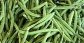 Green beans for sale