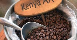 ROBUSTA Kaffeebohnen Preis: 12,58 $/ Kilogramm Mindestbestellmenge: 10.000 kg