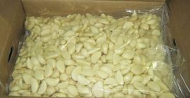 Hochwertiger frischer geschälter weißer Knoblauch bereit für den Export