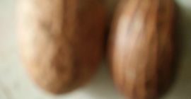 Высококачественная горькая кольская, также известная как гарциния кольская, улучшает