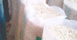 Sacco da 100 kg di chicchi di mais 270