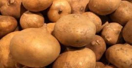 Le patate fresche sono disponibili in Nigeria e possono