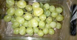 Frische Trauben Superior, Scharlachrot, rote Kugel - Verpackung: 4,5