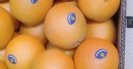 Поздрав, РЕДОВНА ДОСТАВА СВАКЕ СЕДМИЦЕ, само за овај месец