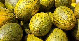 Laverida sells tropical fruits in bulk. The offer includes