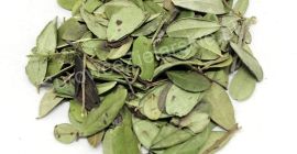 I will sell a cowberry leaf (Vitis idaea folium),