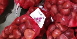 Изврсност Извоз цена Природна велепродаја Јефтини неогуљени свежи слатки