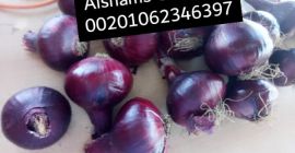 We are ALshams for general import and export .